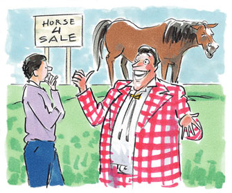 Horse for sale image