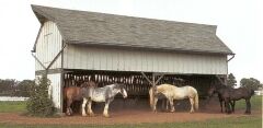 open barn