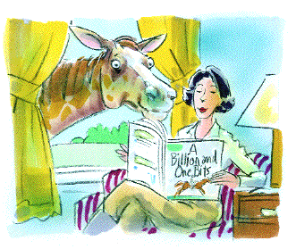 Horse looking through window at reader.