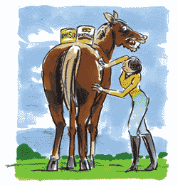 Picture of a woman & her horse with the vet