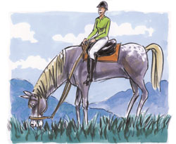 Picture of rider and horse grazing
