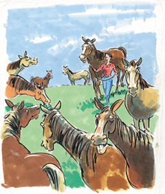 Lady surrounded by horses.