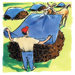 Picture of a man and horse covering a manure pile