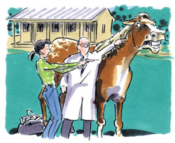 Picture of a woman & her horse with the vet