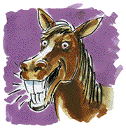 smiling horse