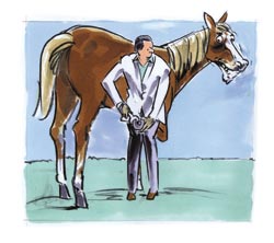 Picture of a vet checking the horse's hoof