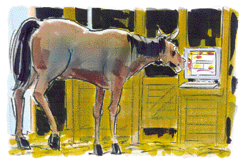 horse looking at computer